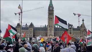 LILLEY UNLEASHED: Openly cheering for terrorism in Canada