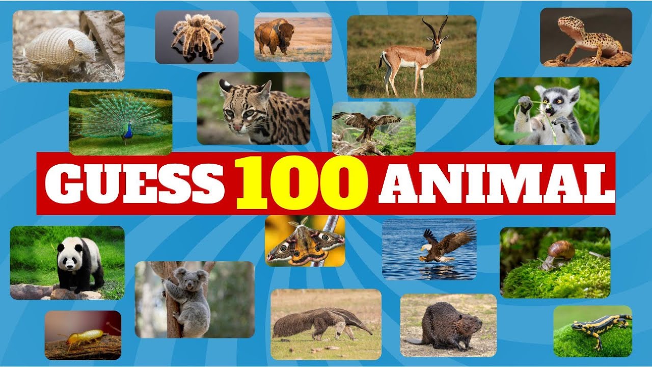 Guess 100 Animals in 5 Seconds 🐒🦁🐘┃Guess the Animal Quiz