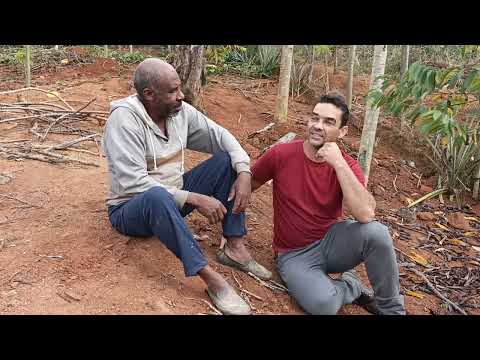 Sr. Domingos - Pau D'alio Vale do Jequitinhonha - Projeto Alimentar