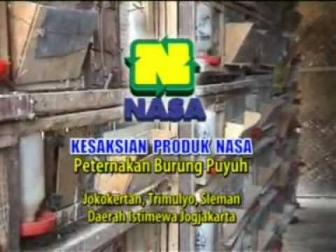 Untuk memecahkan masalah dengan potensi Menjatuhkan palu Thor di ulasan Ukraina