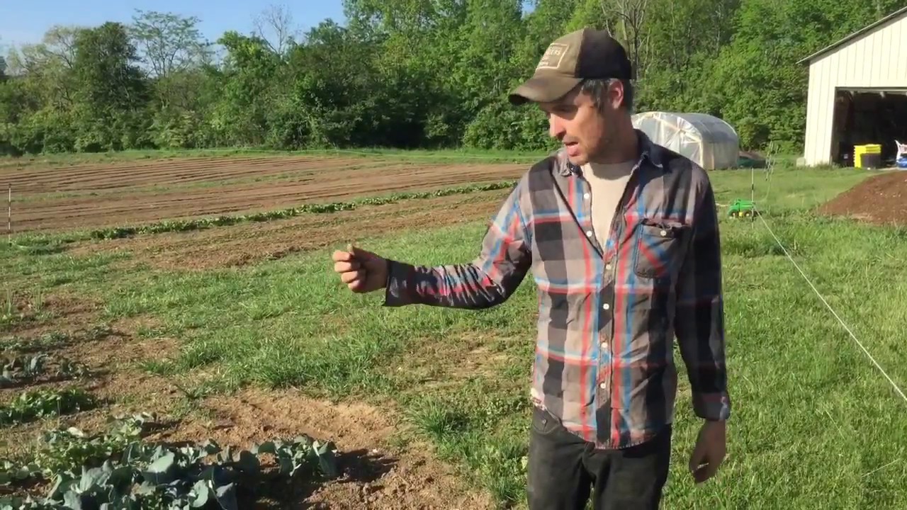 Rough Draft Farmstead CSA Week One