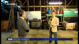 preview picture of video 'Démarrage de la récolte de la noix du Périgord à Saillac en Corrèze (19)'