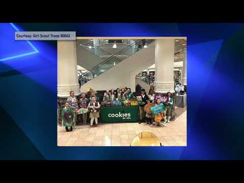 Girl Scouts Theft