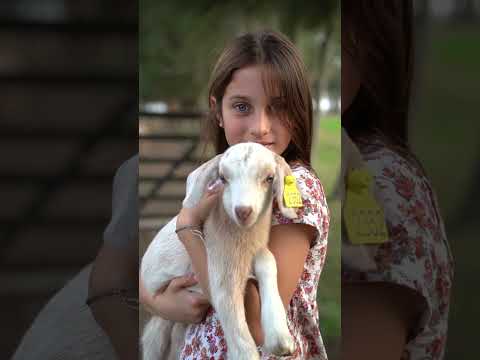 Campaña Elegí Colonia, Viví Colonia - Reels