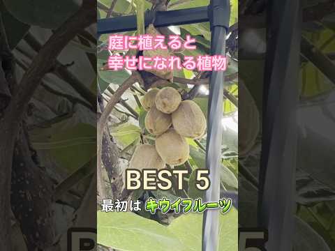 果樹を遅霜から守るにはどうすればよいですか？魔法のヒントとコツ！  庭園