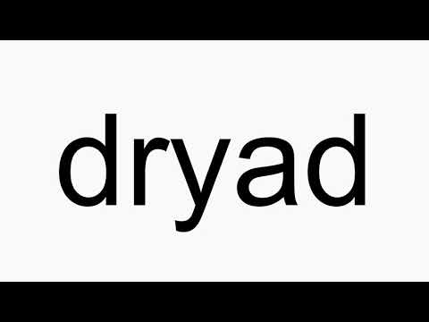 How to pronounce dryad