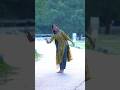 Samayamithapoorva Sayanam Dance Classicaldance Lalithambikagj Dancebharatanatyam