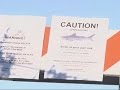 Surfer Survives Central California Shark Bite - YouTube