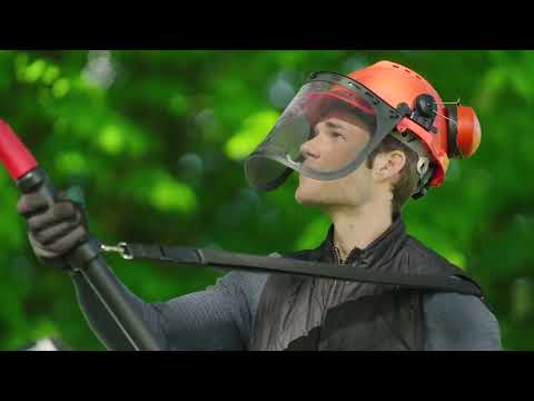 Élagueuse sur perche UniversalChainPole 18 + 1 batterie 2,5Ah - 06008B3100 BOSCH