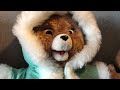 Teddy Ruxpin Come Dream With Me Tonight