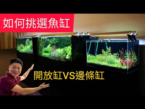 2尺魚缸公分