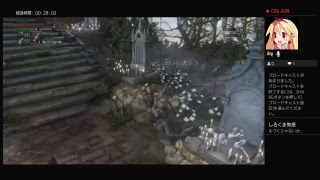 bloodborn speed run practice