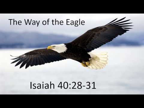 The Way of the Eagle