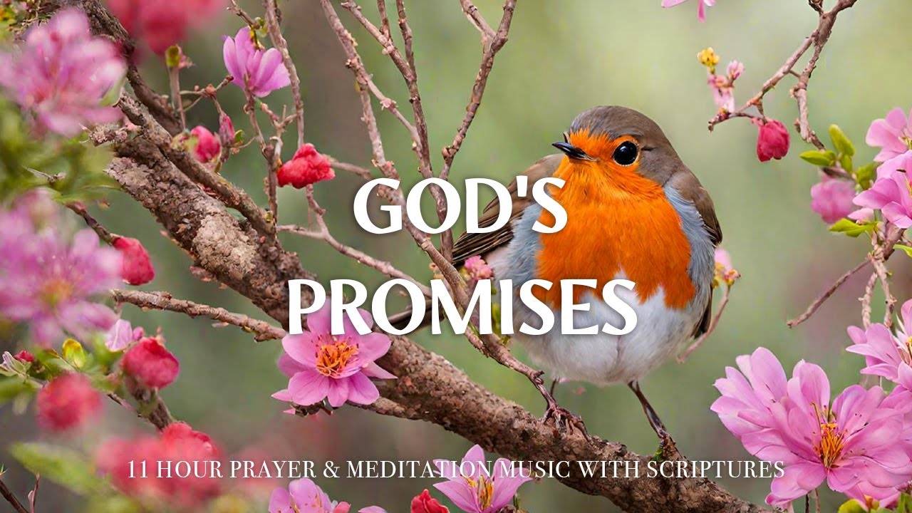 GOD'S PROMISES | Worship & Instrumental Music With Scriptures | Christian Harmonies