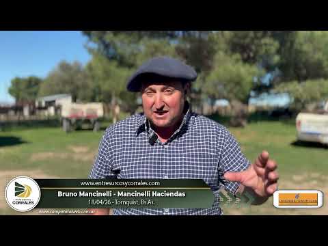18-04-26 - Bruno Mancinelli - Mancinelli Haciendas - Tornquist, Bs.As.