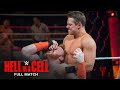 FULL MATCH Sheamus Vs The Miz United States Title Match WWE Hell In A Cell 2014
