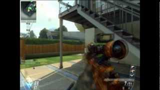 Kill 'em Shoot 'em again Grave 'em | Black Ops II