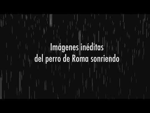 Imágenes inéditas del perrito de Roma sonriendo