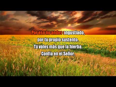 Mirad Las Aves video