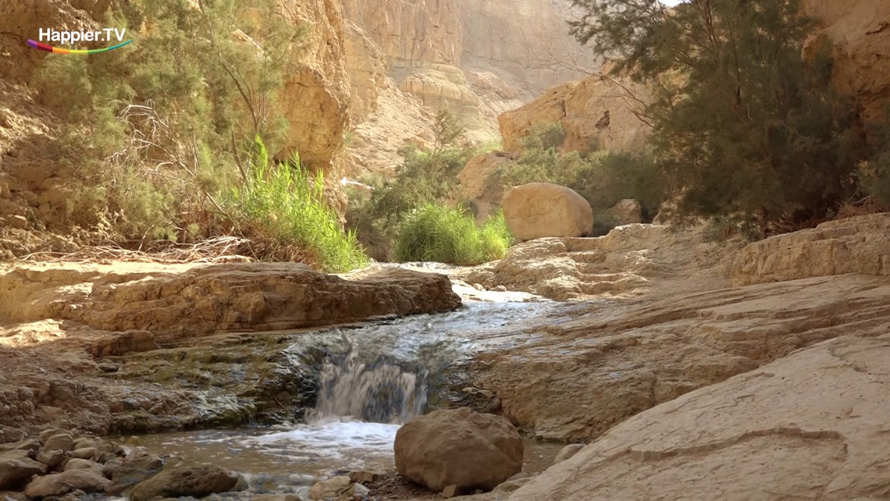 1 Minute Gratitude Meditation