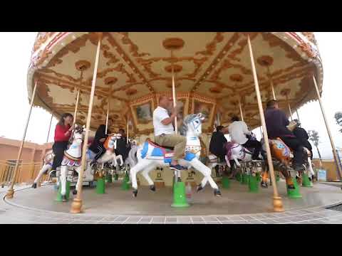 Carousel Amusement Rides