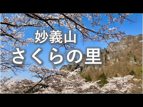 妙義山　さくらの里｜富岡行政県税事務所｜群馬県