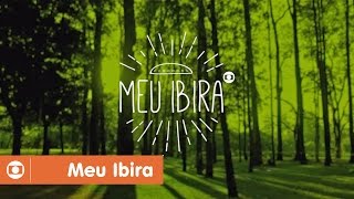Download lagu Meu Ibira: conheça app da Globo para o Parque Ibirapuera mp3