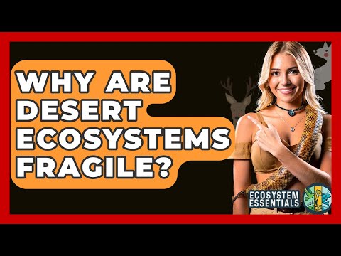 High Desert Ecology: A Fragile Balance | Community Health