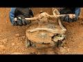 What We Discovered Buried Shocked The Whole World Strange Treasure Hunt By Metal Detector