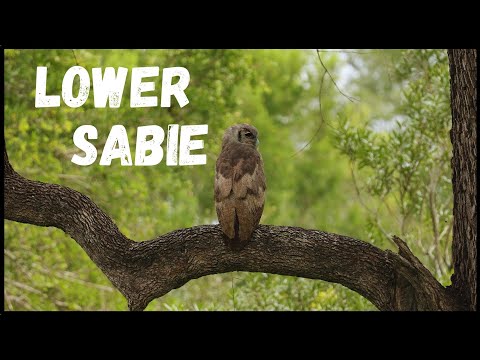 Kruger National Park's Wildest Area - Lower Sabie