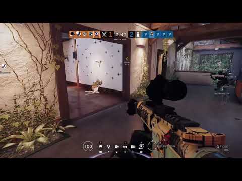 new shadow legacy glitch