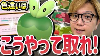 効率が全然違う!!!色違いカジッチュ狙いは圧倒的にアレです【ポケモンGO】