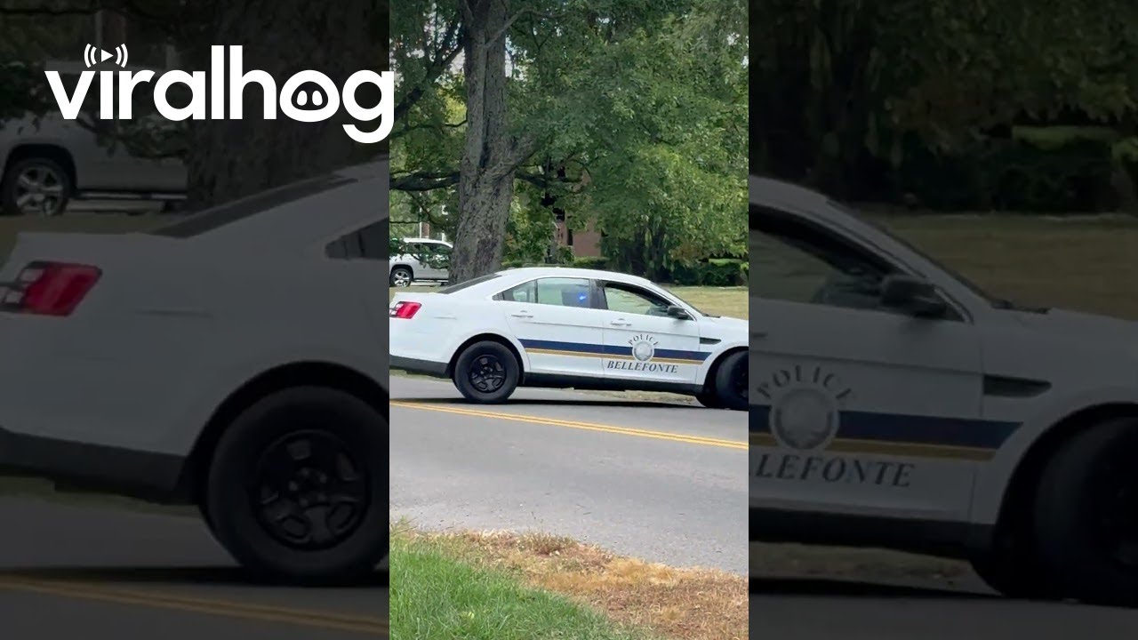 Driver Doesn't Stop For School Bus, Finds Waiting Cop || ViralHog