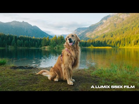 LUMIX Presents: Shutter Showdown — SUNSET SHOT by Fritz Bacon