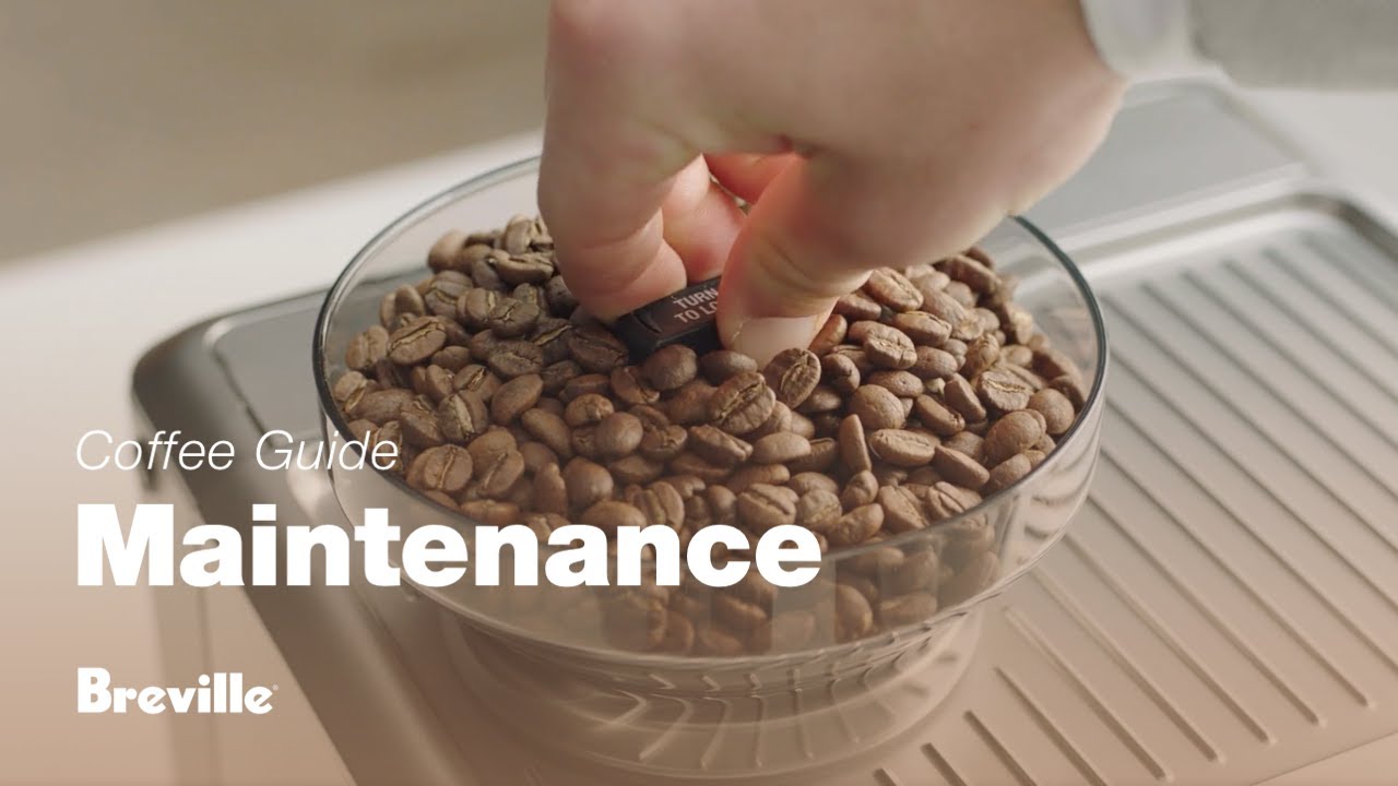 How to clean grinder conical burrs