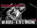 Beginning Guitar Lesson with Robben Ford: Gb Blues - G to C Voicing