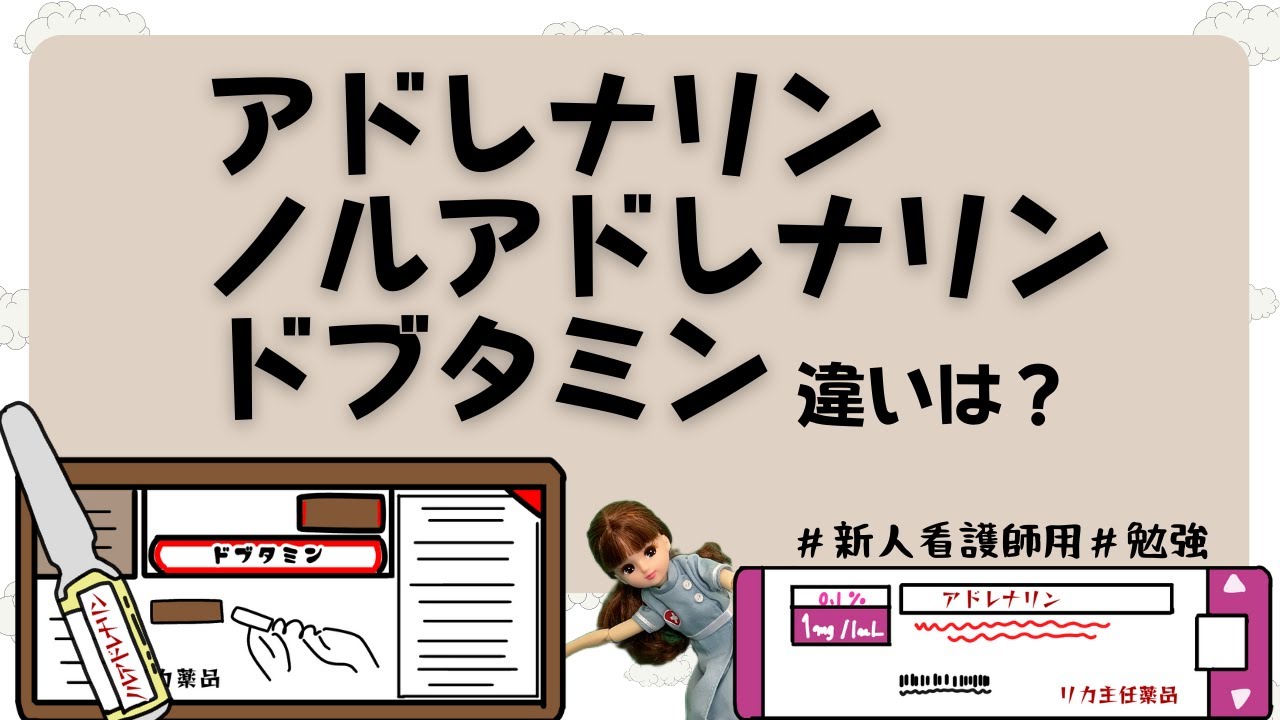 【カテコラミン】アドレナリン/ノルアドレナリン/ドブタミン違いは？#新人ナース#勉強#看護師
