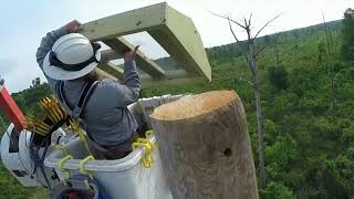 Entergy Mississippi Raptor Nesting Platform Installation