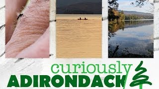 preview picture of video 'Are you Curiously Adirondack? Show Your Support!'