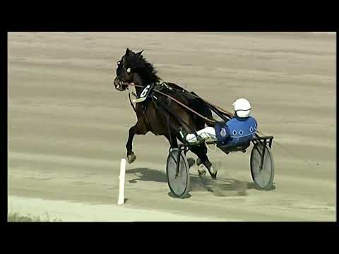 Napoli Trotto 04/02/2022 - 1ª corsa