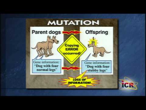 Science Confirms Biblical Creation - 4/12/15 PM