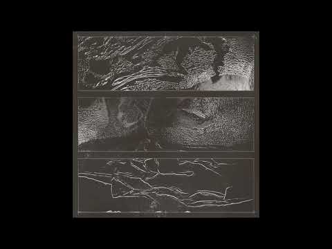 Sciahri - Let Them Go [BLUEHOUR032]