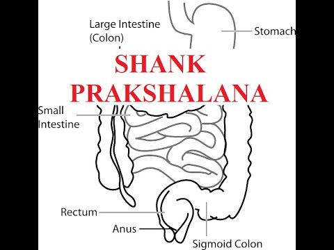 How To Perform Shank Prakshalana (Yogic Salt Flush) -...