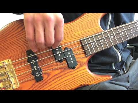 Bass Basics 4 Spieltechnik