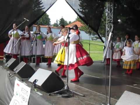 ŠUMAVÁNEK z Klatov č.2  / Polabská Vonička 2016 Nymburk /č.13