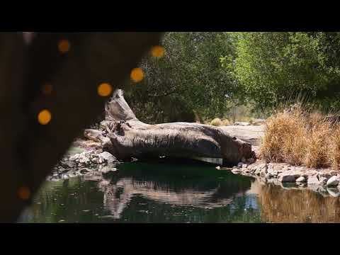 Galway Downs by Wedgewood Weddings #2