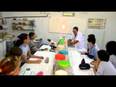 Video Professor Gerardo, principio dos vasos comunicantes.mp4