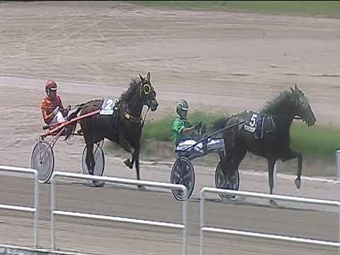 Trotto 08/06/2019 - 1ª corsa