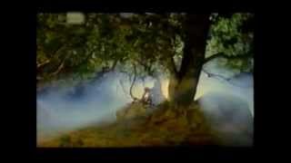 Secret Garden - Sona HD