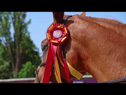 Aleksandra Lusina-Gołaś - Warsaw Jumping 2021